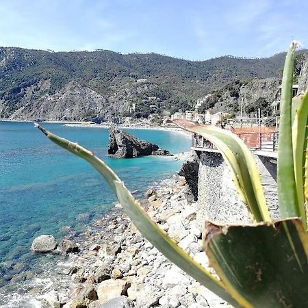 Nel Cuore Di Monterosso Cinque Terre Orto Di Ciack Monterosso al Mare Luaran gambar