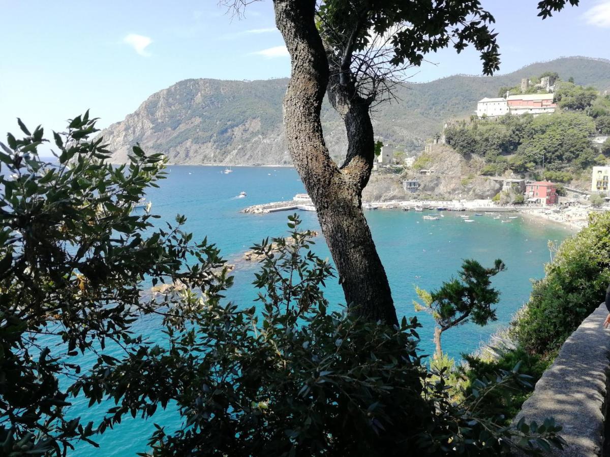 Nel Cuore Di Monterosso Cinque Terre Orto Di Ciack Monterosso al Mare Luaran gambar